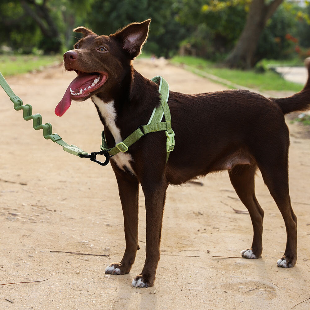 Arnés SofterWalk para Perros Jaladores Naturals Moss