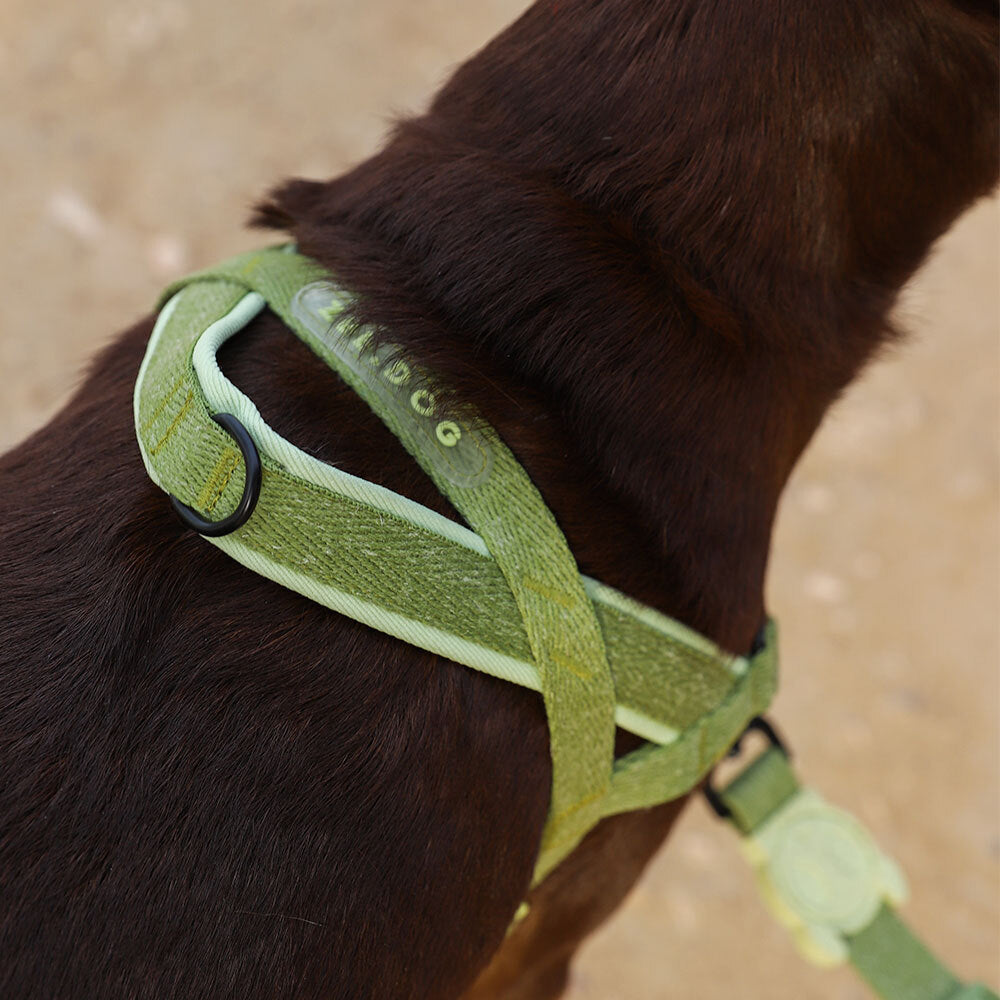 Arnés SofterWalk para Perros Jaladores Naturals Moss