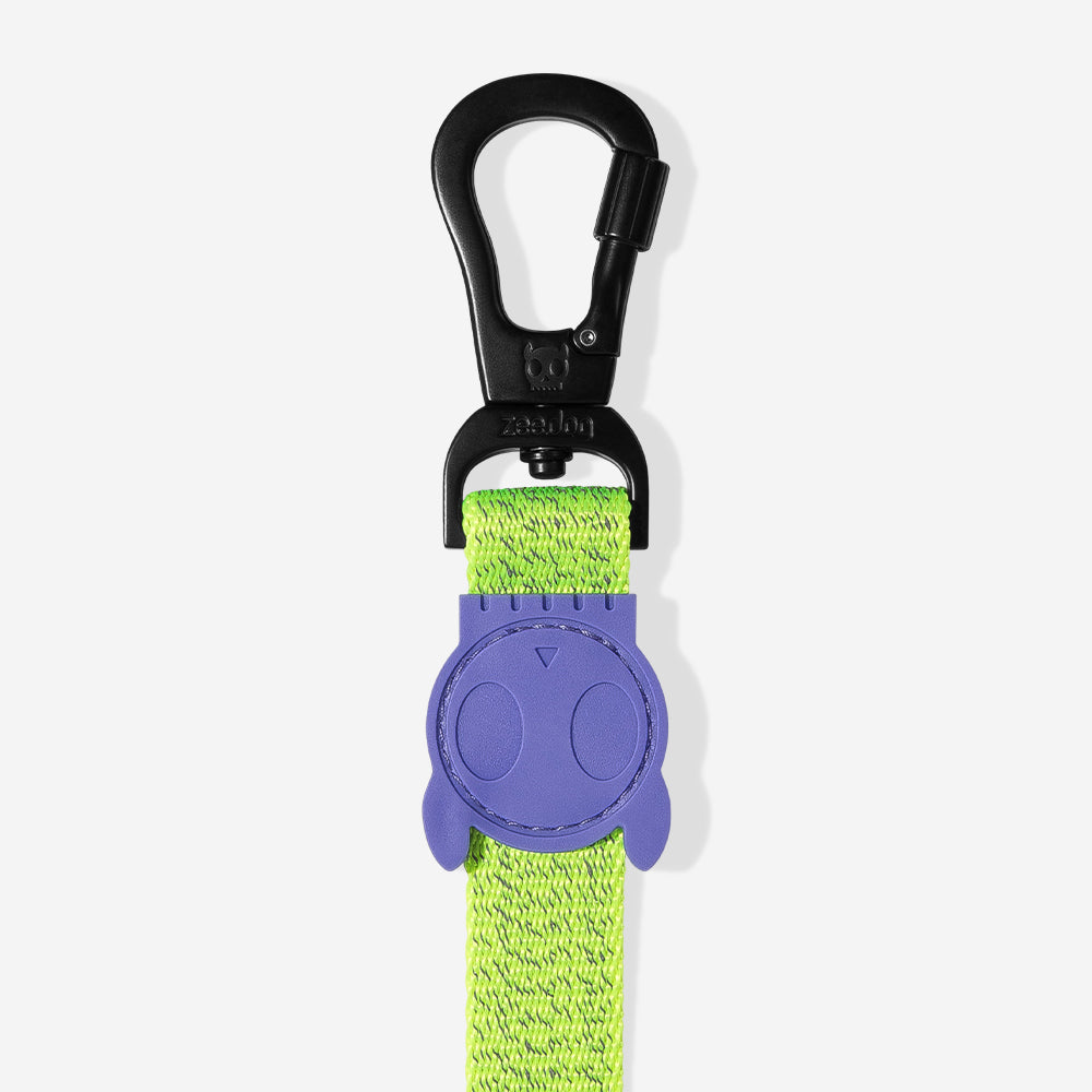 Correa para Perros NOX Lumen