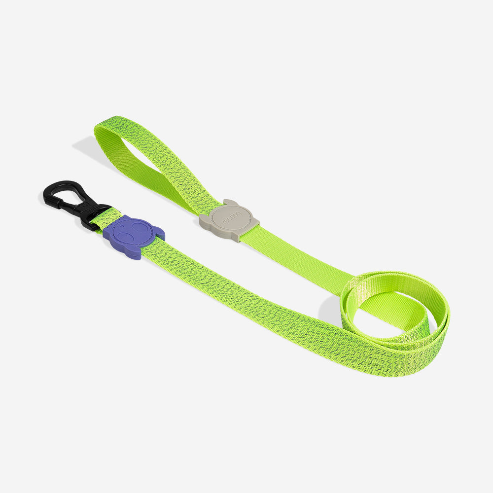 Correa para Perros NOX Lumen