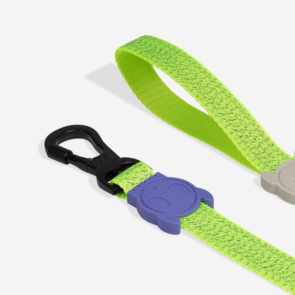 Correa para Perros NOX Lumen