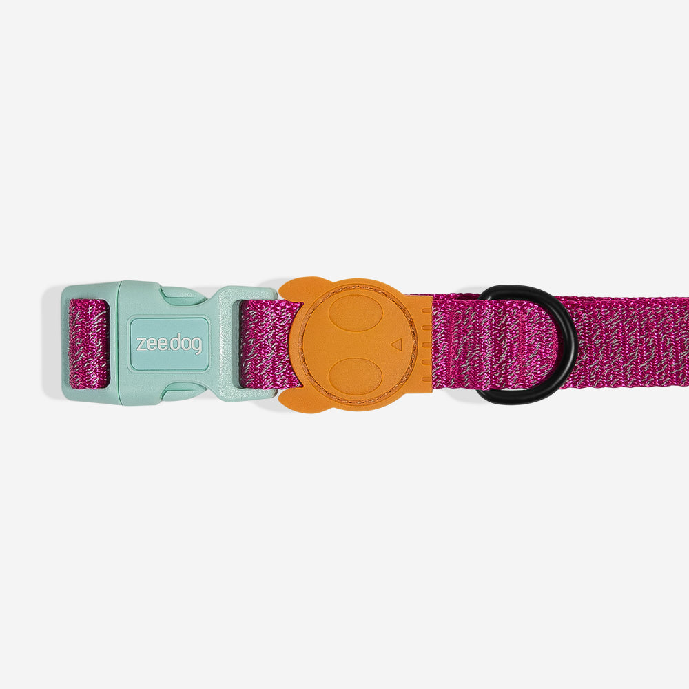 Collar para Perro NOX Sidus