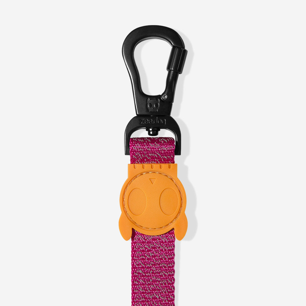 Correa para Perros NOX Sidus