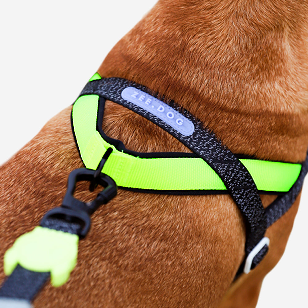 Arnés SofterWalk para Perros Jaladores NOX