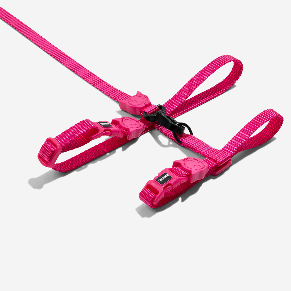 Arnés y Correa para Gatos Pink Led