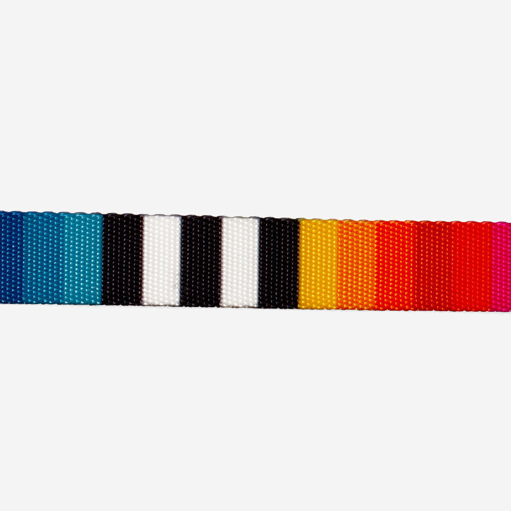 H-Harness para Perros Prisma