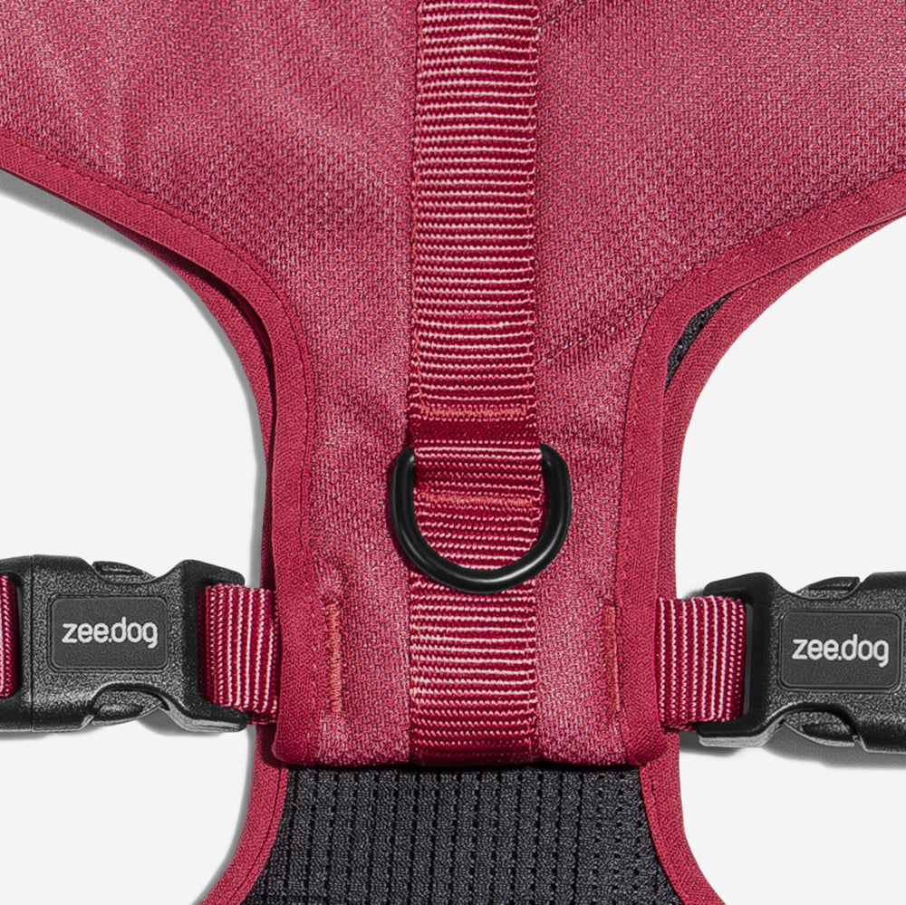 Pechera Air Mesh Ajustable para Perros Bordeau