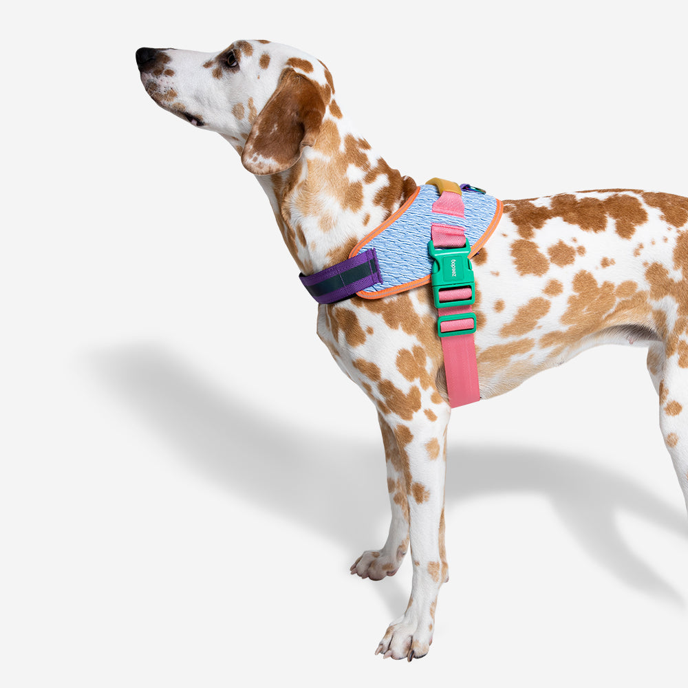 Pechera FlyHarness para Perros Galaxy
