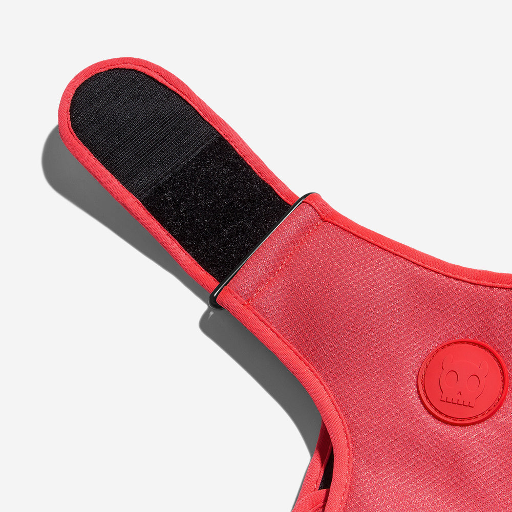 Pechera Air Mesh Ajustable para Perros Neon Coral