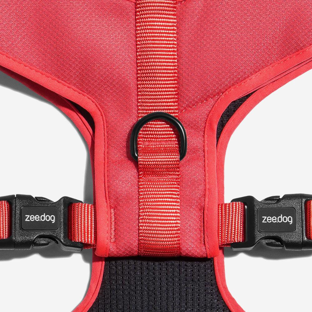 Pechera Air Mesh Ajustable para Perros Neon Coral