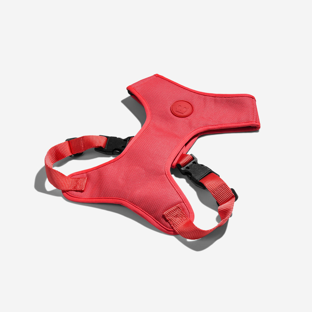 Pechera Air Mesh Ajustable para Perros Neon Coral