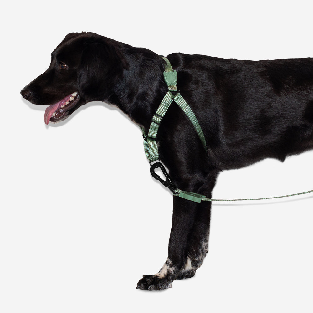 Arnés Soft-Walk para Perros Jaladores Army