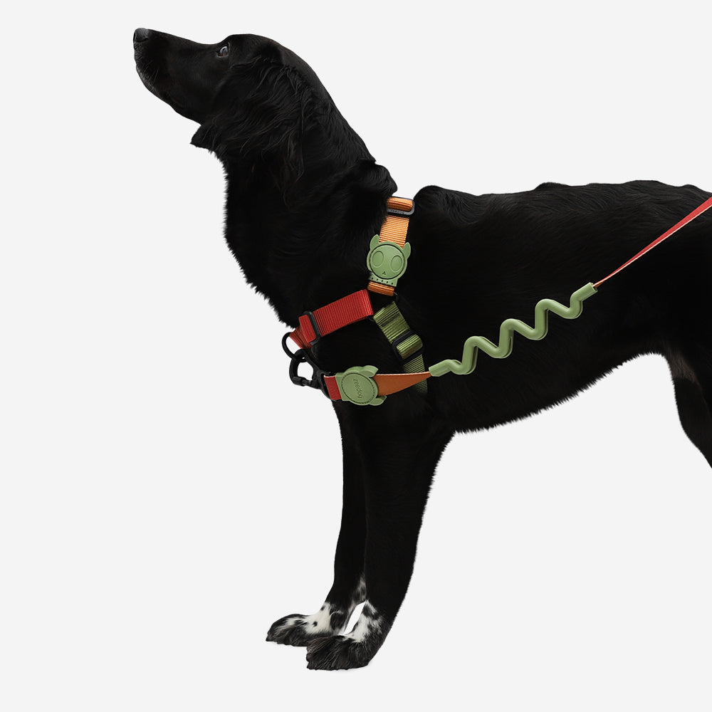 Arnés Soft-Walk para Perros Jaladores Bit