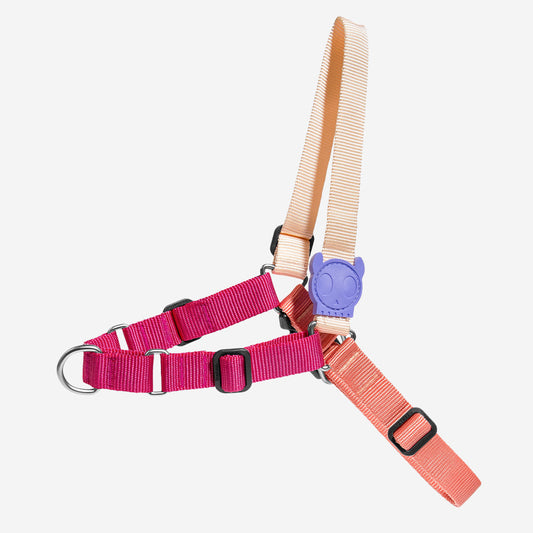 Arnés Soft-Walk para Perros Jaladores Cinnamon