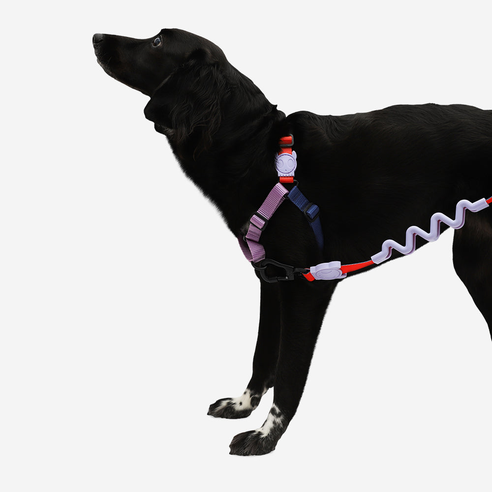 Arnés Soft-Walk para Perros Jaladores Genie