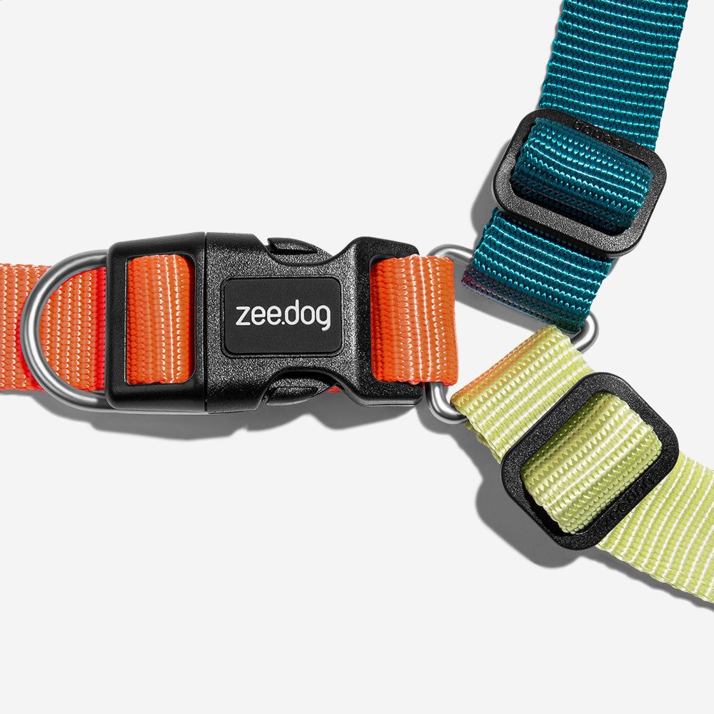 Arnés Soft-Walk para Perros Jaladores Jumper