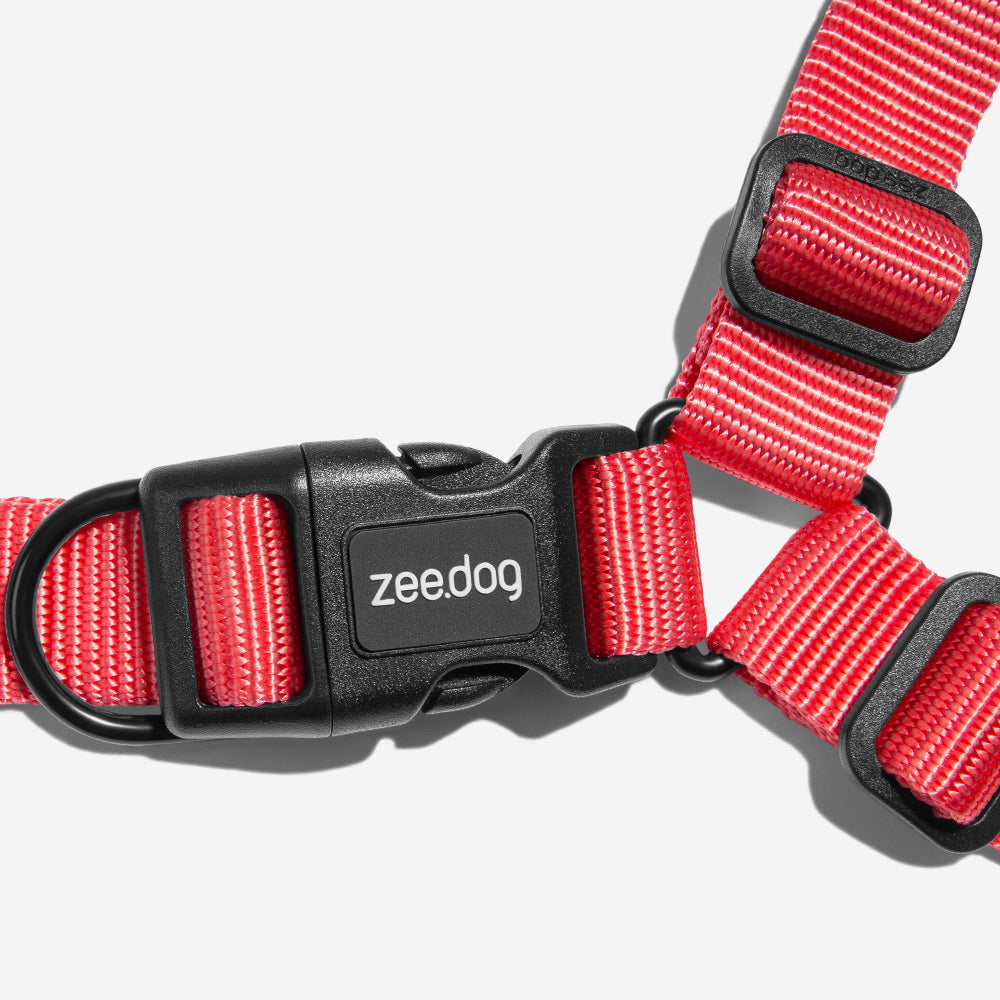 Arnés Soft-Walk para Perros Jaladores Neon Coral