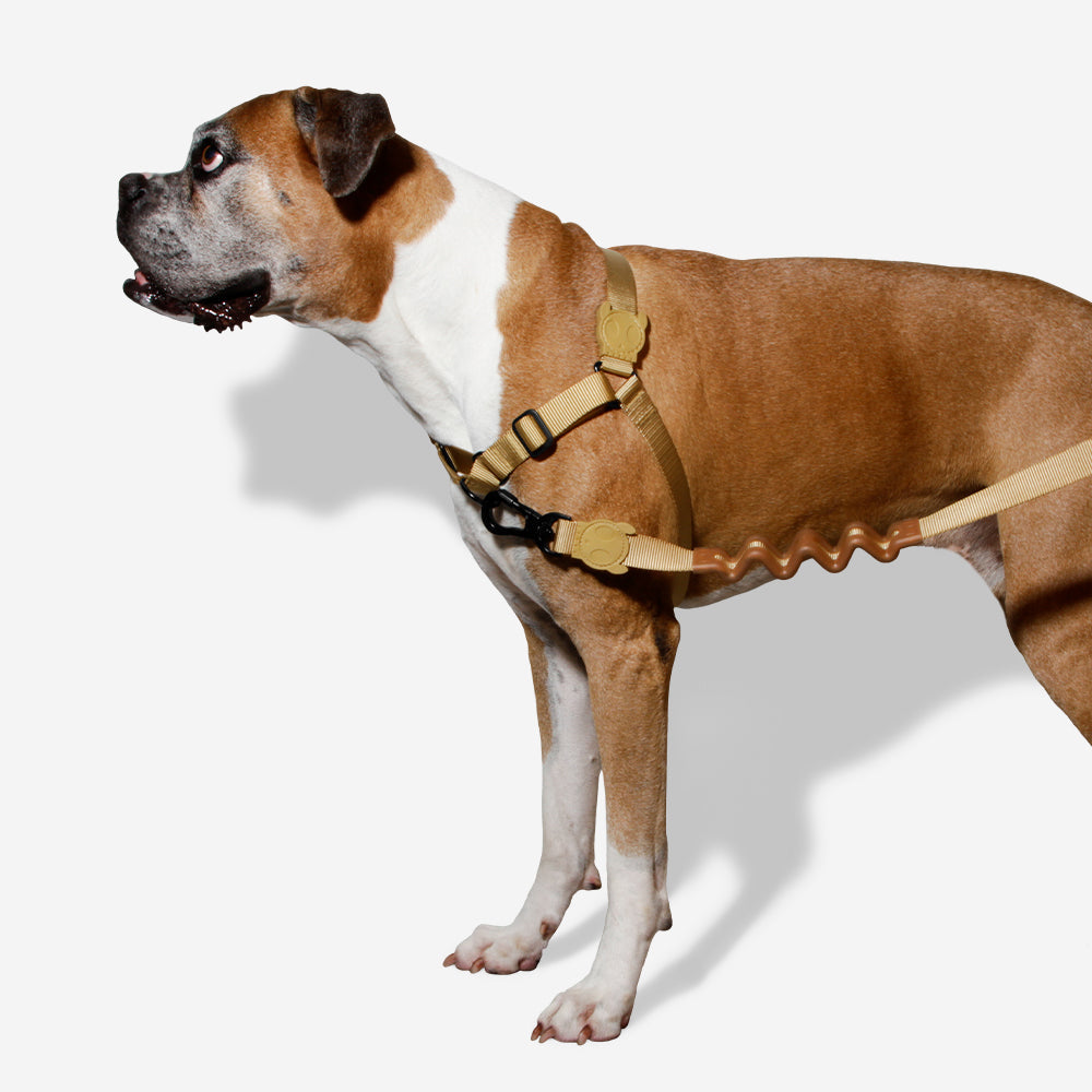 Arnés Soft-Walk para Perros Jaladores Sand