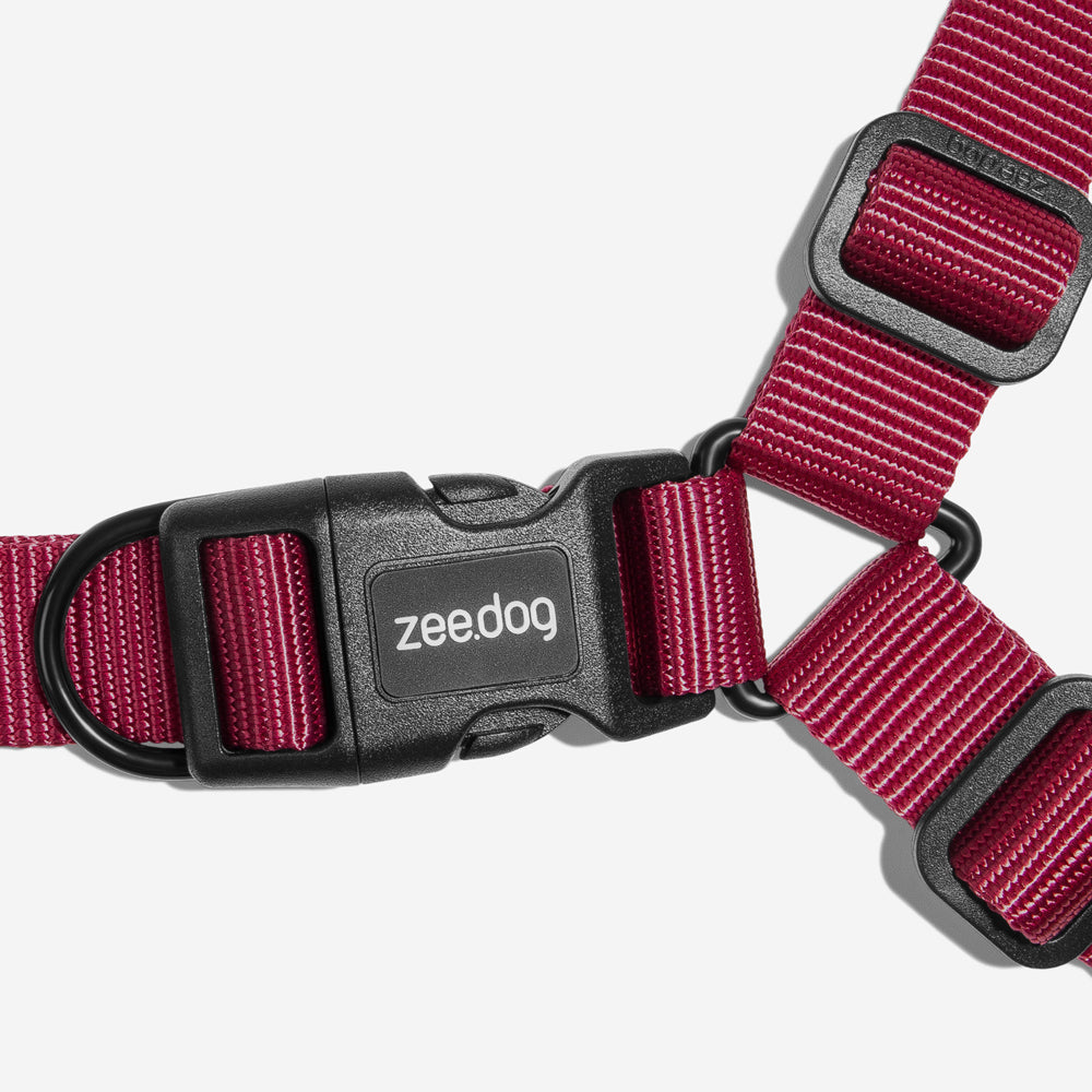 Arnés Soft-Walk para Perros Jaladores Bordeau