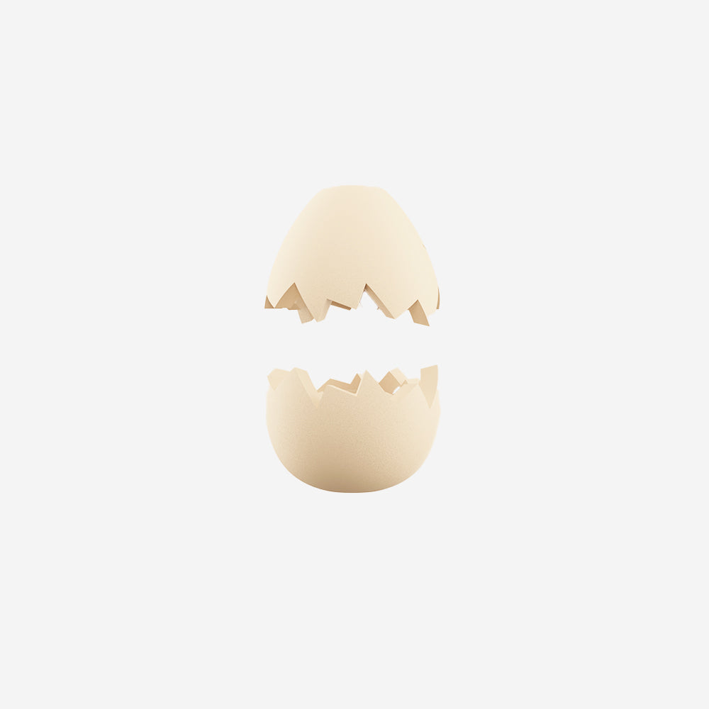 Zee.Pinz Egg