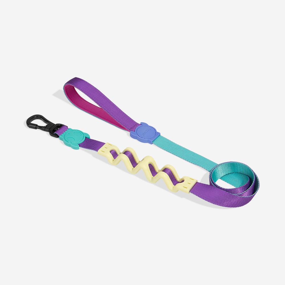 Correa Ruff con Amortiguador para Perros Shockwave