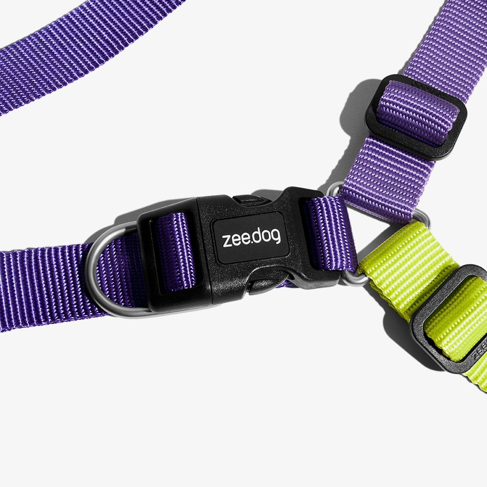 Arnés Soft-Walk para Perros Jaladores Lemonade