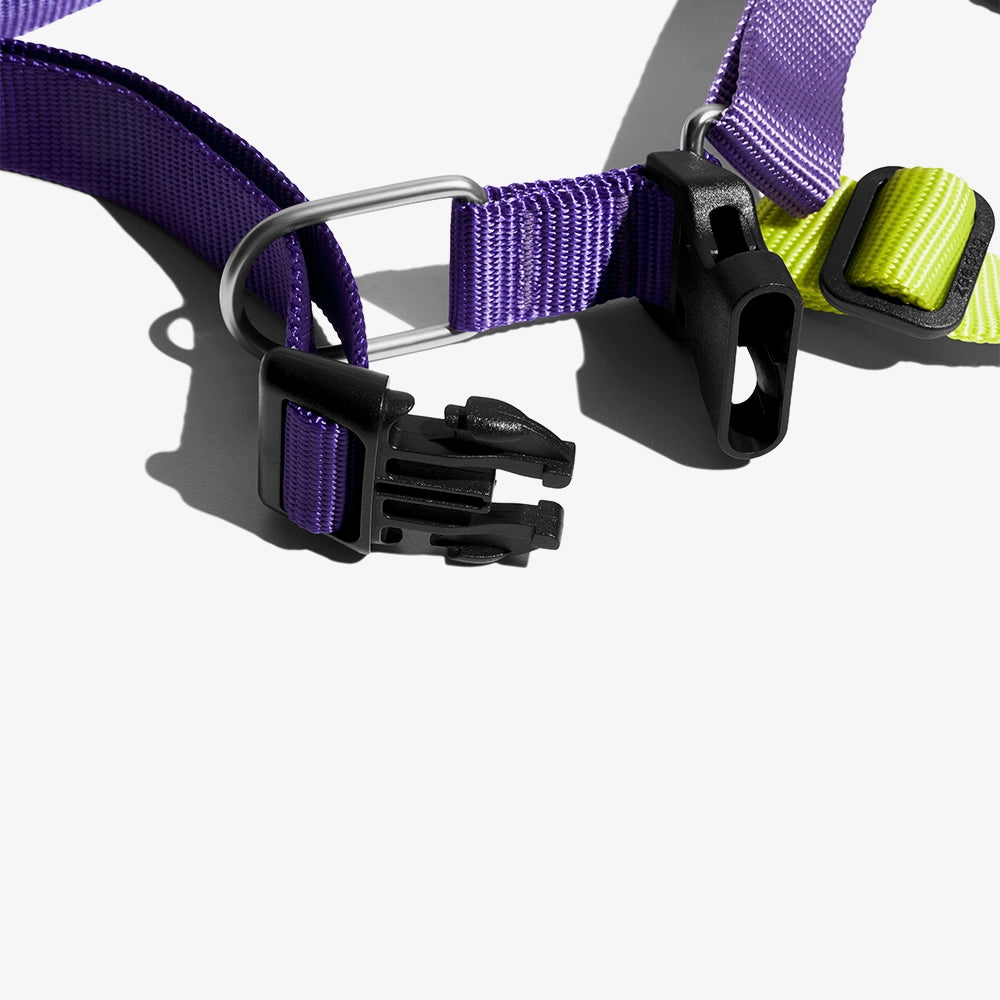 Arnés Soft-Walk para Perros Jaladores Lemonade