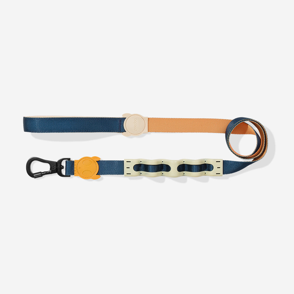 Correa Ruff con Amortiguador para Perros Voyage