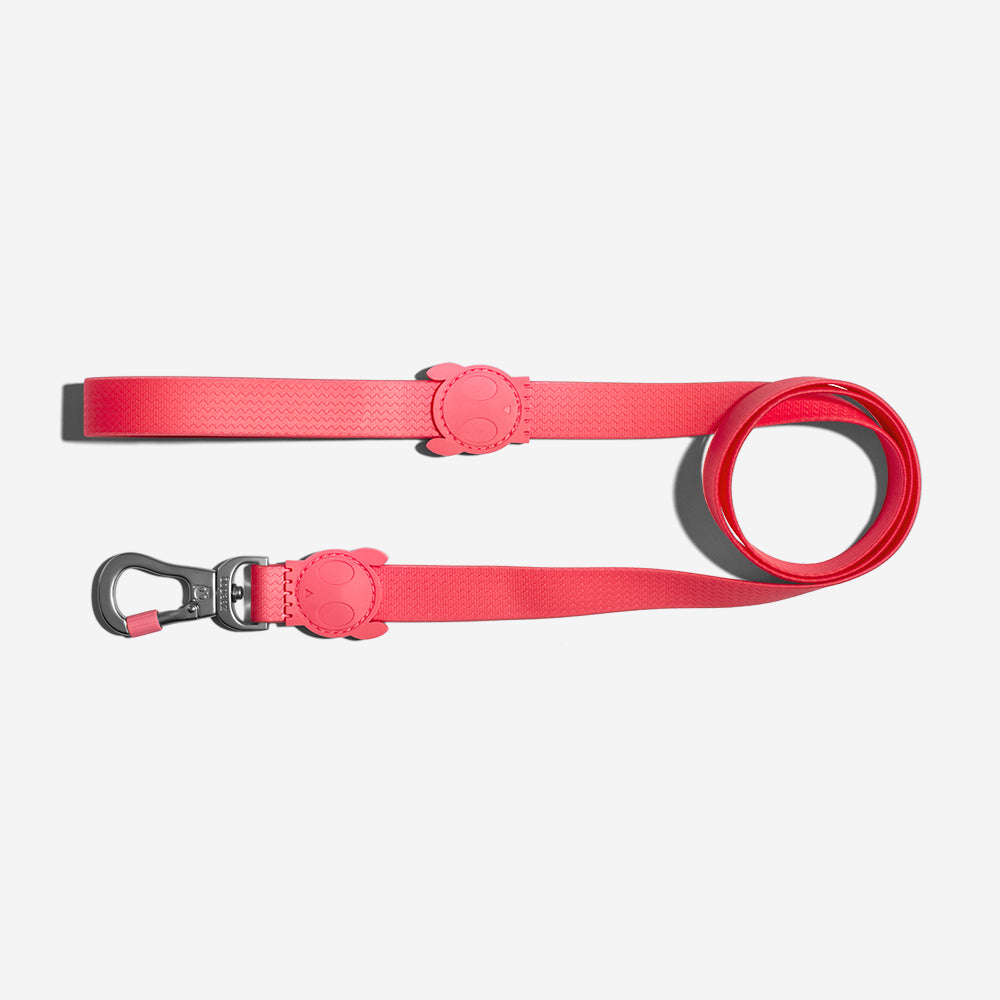 Correa para Perros Neopro Bubblegum